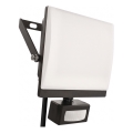 LED-reflektor med bevægelses- og skumringssensor TAMBO EVO LED/50W/230V 4000K IP44 sort