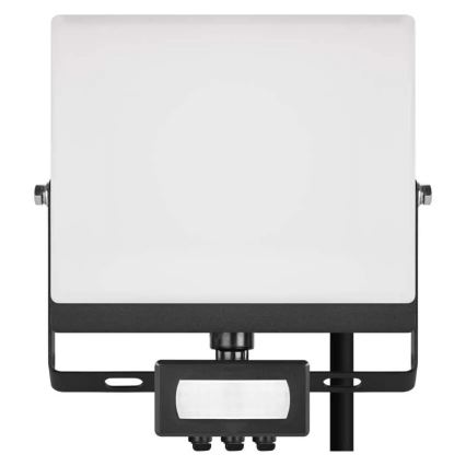 LED-reflektor med bevægelses- og skumringssensor TAMBO EVO LED/30W/230V 4000K IP44 sort