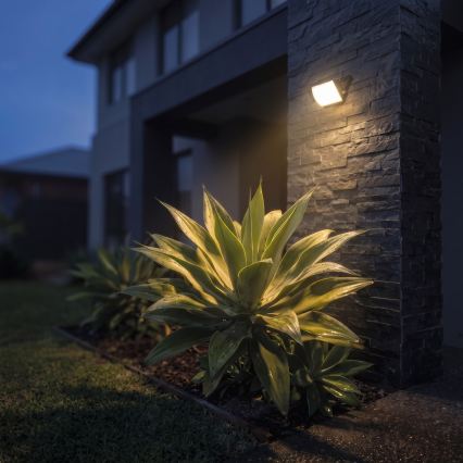 LED-reflektor TAMBO EVO LED/10W/230V 4000K IP65 sort