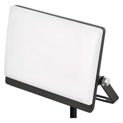 LED-reflektor TAMBO EVO LED/20W/230V 4000K IP65 sort