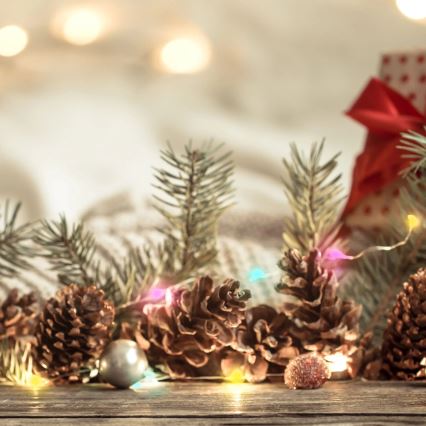 LED RGB lyskæde LED/10W/5V 10 m USB + fjernbetjening