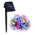 LED RGB Solarlampe kæde 50xLED/0,12W/1,2V 1xAA IP44 600 mAh