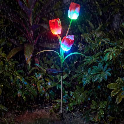 LED RGB solcelledrevet dekorationslampe 3 x LED / 3,7 V 200 mAh IP44 tulipan