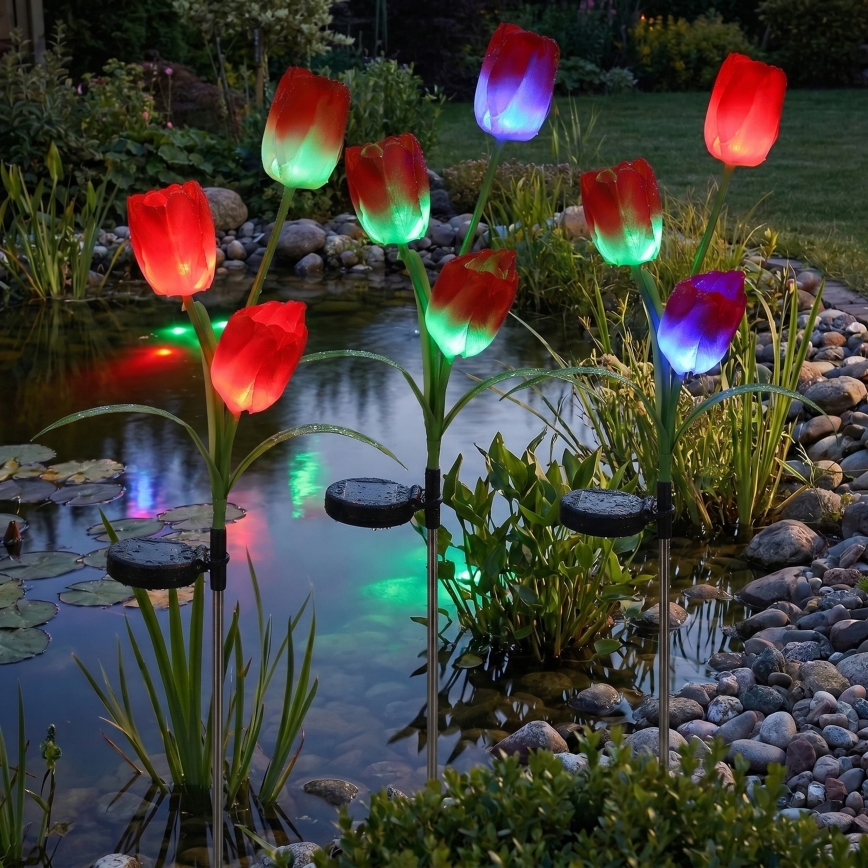 LED RGB solcelledrevet dekorationslampe 3 x LED / 3,7 V 200 mAh IP44 tulipan