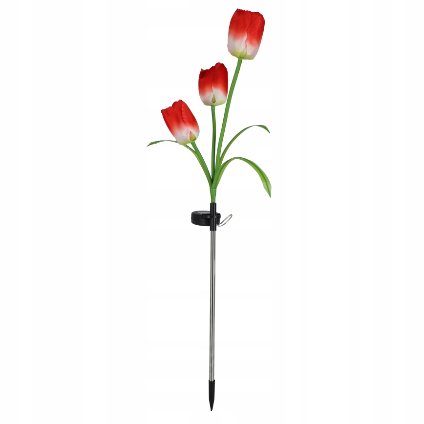 LED RGB solcelledrevet dekorationslampe 3 x LED / 3,7 V 200 mAh IP44 tulipan
