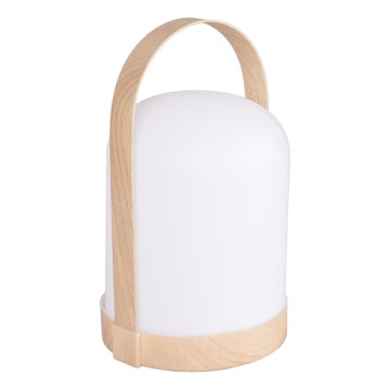 LED RGBW dekorativ bordlampe MINORKA LED/0,3W/4,5V 3xAA