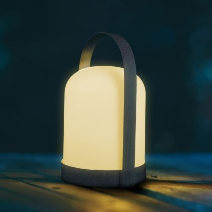 LED RGBW dekorativ bordlampe MINORKA LED/0,3W/4,5V 3xAA
