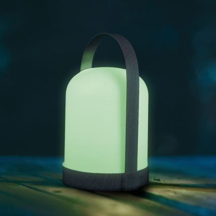 LED RGBW dekorativ bordlampe MINORKA LED/0,3W/4,5V 3xAA