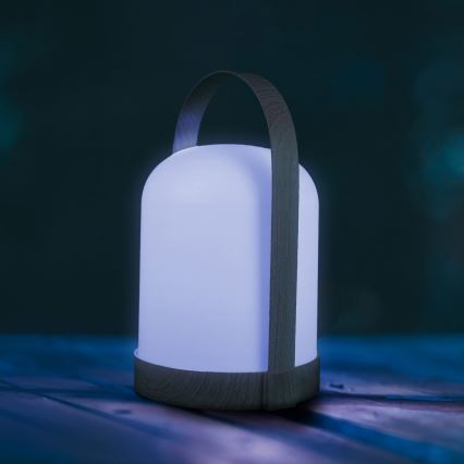 LED RGBW dekorativ bordlampe MINORKA LED/0,3W/4,5V 3xAA