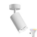 LED RGBW Dæmpbar Badeværelse Spotlys TURYN 1xGU10/6,5W/230V 2700-6500K Wi-Fi IP44 Hvid