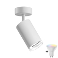 LED RGBW dæmpbar badeværelsesspot TURYN 1xGU10/4,8W/230V 3000K IP44 hvid + fjernbetjening