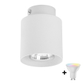 LED RGBW dæmpbar spot VICO 1xGU10/6,5W/230V 2700-6500K