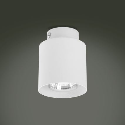 LED RGBW dæmpbar spot VICO 1xGU10/6,5W/230V 2700-6500K
