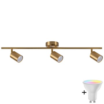 LED RGBW dæmpbar spotarmatur GOLDI 3xGU10/6,5W/230V 2700-6500K Wi-Fi gylden