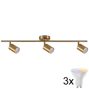 LED RGBW dæmpbar spotarmatur GOLDIE 3xGU10/4,8W/230V 3000K guld + fjernbetjening