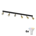 LED RGBW dæmpbar spotarmatur TOP 6xGU10/6,5W/230V 2700-6500K guld/sort
