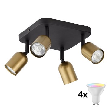 LED RGBW dæmpbar spotlampe TOP 4xGU10/6,5W/230V 2700-6500K guld/sort