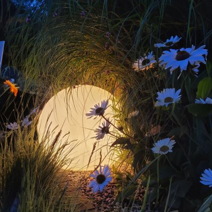 LED RGBW dæmpbar udendørslampe GLOBO 1xE27/9W/230V 2700-6500K Ø 40 cm IP44 Wi-Fi