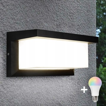 LED RGBW dæmpbar udendørs væglampe NEELY 1xE27/9W/230V 2700-6500K IP54 Wi-Fi sort