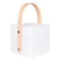 LED RGBW Udendørslampe MAJORKA LED/0,5W/5V USB 1200 mAh IP44 hvid
