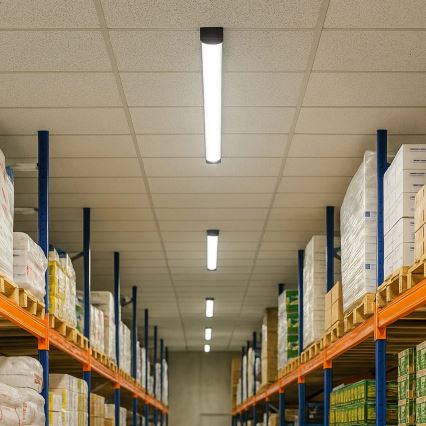 LED-rørarmatur LED/50W/230V 4000K 150 cm sort