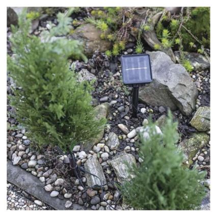 LED solcelledrevet dekorationslys 50xLED/3W/1,2V 600 mAh IP44