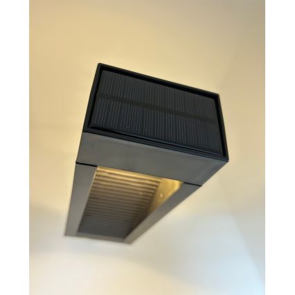 LED solcellelampe 2xLED/1,2V 200 mAh IP44 sort