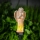 LED solcellelampe LED/1,2V 300 mAh IP44 engel