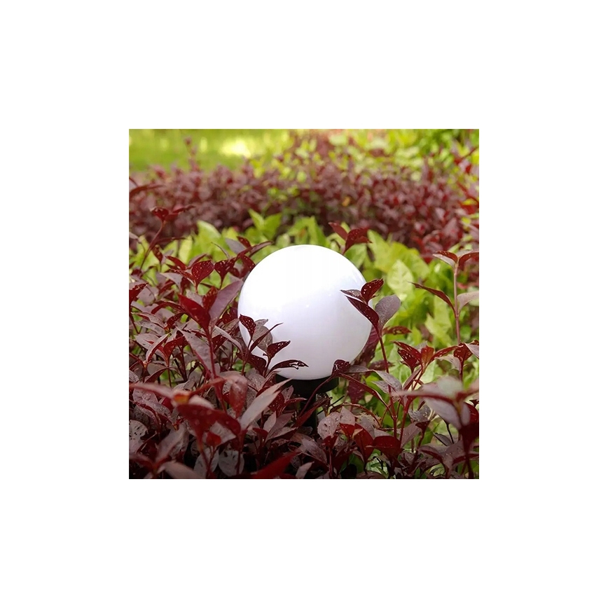 LED-solcellelampe LED/1,2V 6500K 200 mAh Ø 20 cm IP44 hvid/sort