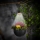 LED solcellelampe med blomsterkrukke LED/1,2V 400 mAh IP44 sort