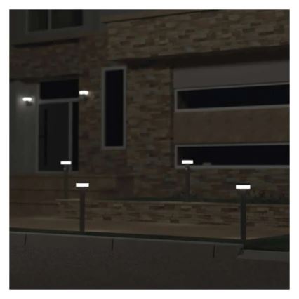 LED solcellelampe med sensor LED/2W/3,7V 1200 mAh IP44 50 cm