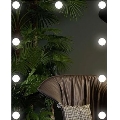 LED-spejl med belysning 9xLED/1W/230V 3000/4000/6000K 50x40 cm IP44