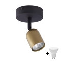 LED-spot TOP 1xGU10/10W/230V guld/sort