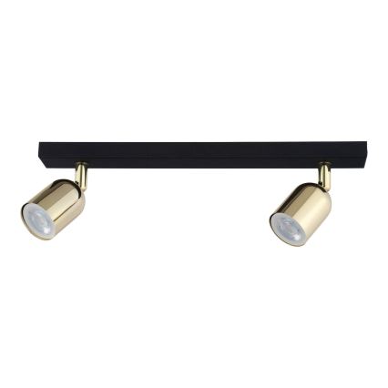 LED-spot TOP 2xGU10/10W/230V sort/guld