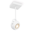 LED spotlampe dæmpbar NOP 1xGU10/5,8W/230V hvid