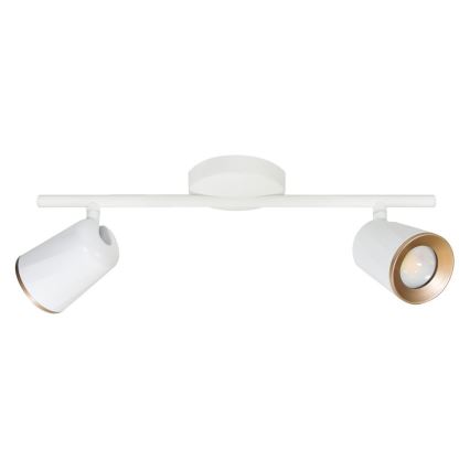 LED spotlampe FICUDI 2xLED/6W/230V