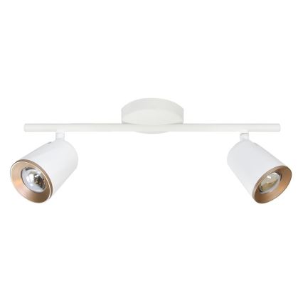 LED spotlampe FICUDI 2xLED/6W/230V