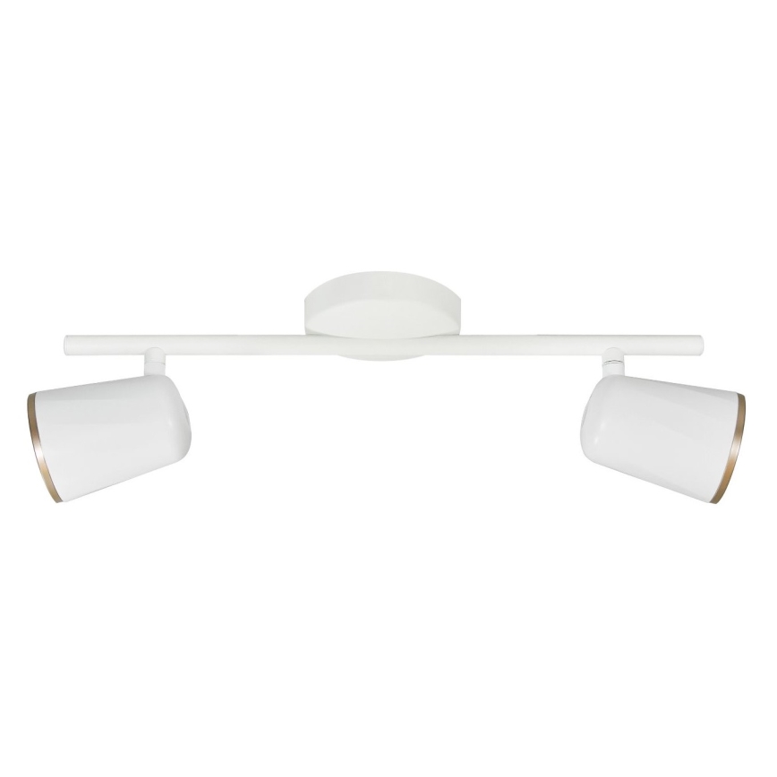 LED spotlampe FICUDI 2xLED/6W/230V