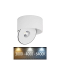 LED spotlampe LED/20W/230V 3000/4000/6400K CRI 90 hvid