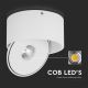 LED Fleksibel spotlampe LED/20W/230V 3000/4000/6400K CRI 90 hvid