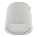LED-spotlampe LED/5W/230V 3000/4000/6400K Ø 7,5 cm hvid