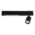 LED spotlampe MAGNET LED/5W/230V + 1xGU10/60W 3000/4000K sort
