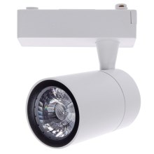 LED Spotlampe til lysskinne TRACK LIGHT LED/7W/230V 4000K hvid