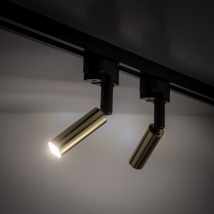 LED spotlampe til 1-faset skinnesystem LAGOS 1xG9/3W/230V guldfarvet/sort