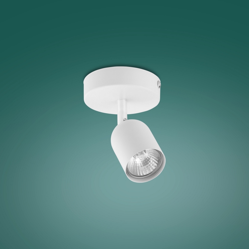 LED spotlampe TOP 1xGU10/10W/230V hvid