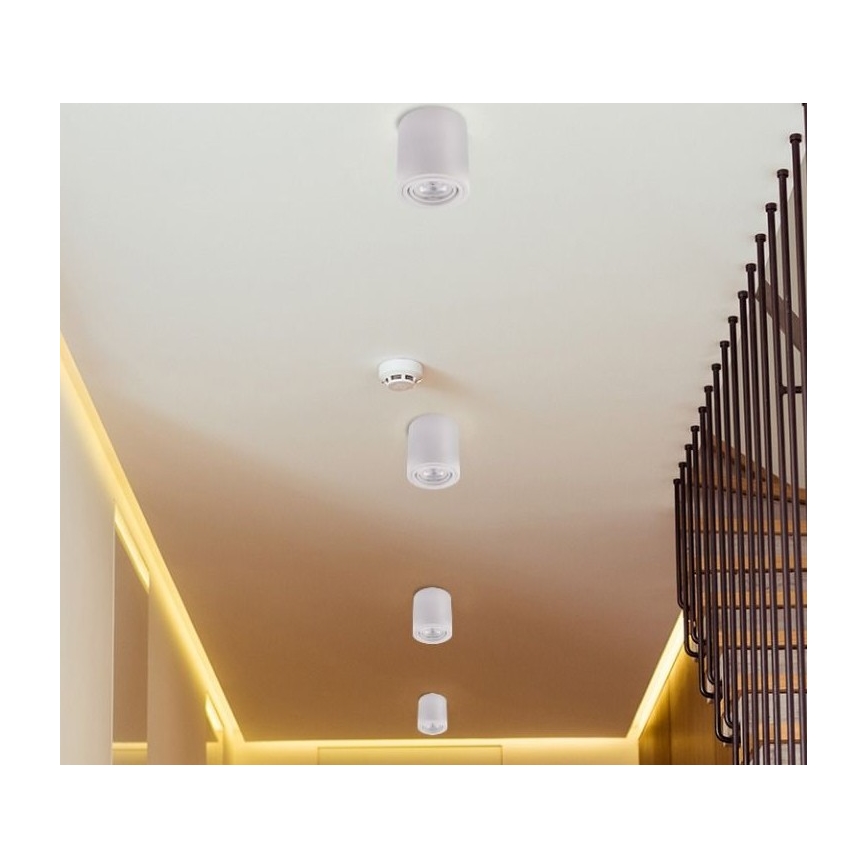 LED spotlampe TUBA 1xGU10/5W/230V 4000K hvid