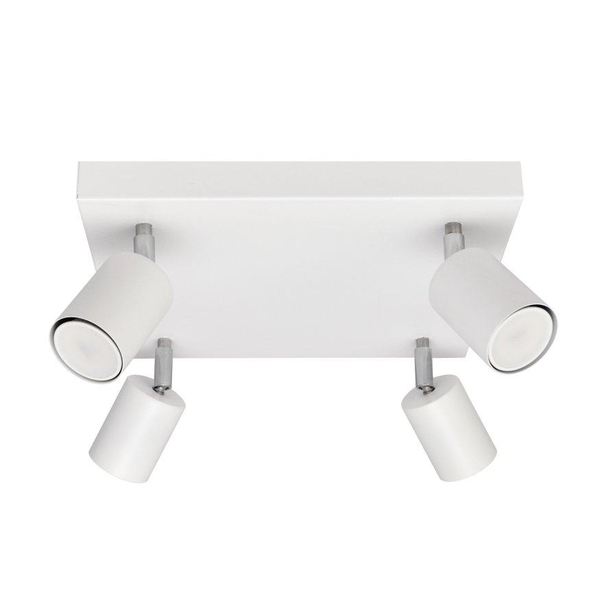 LED spotlampe TUNE 4xGU10/4,8W/230V hvid