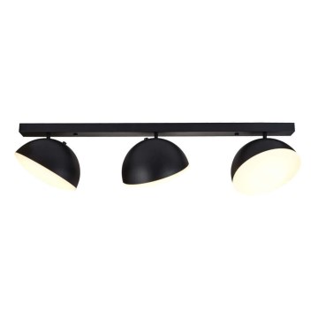 LED Spotlys CROWD 3xLED/20W/230V sort