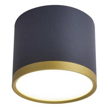 LED Spotlys TUBA LED/9W/230V sort/guld