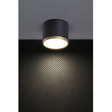 LED Spotlys TUBA LED/9W/230V sort/guld
